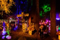 Photos by Michael Troutman (360/360)
